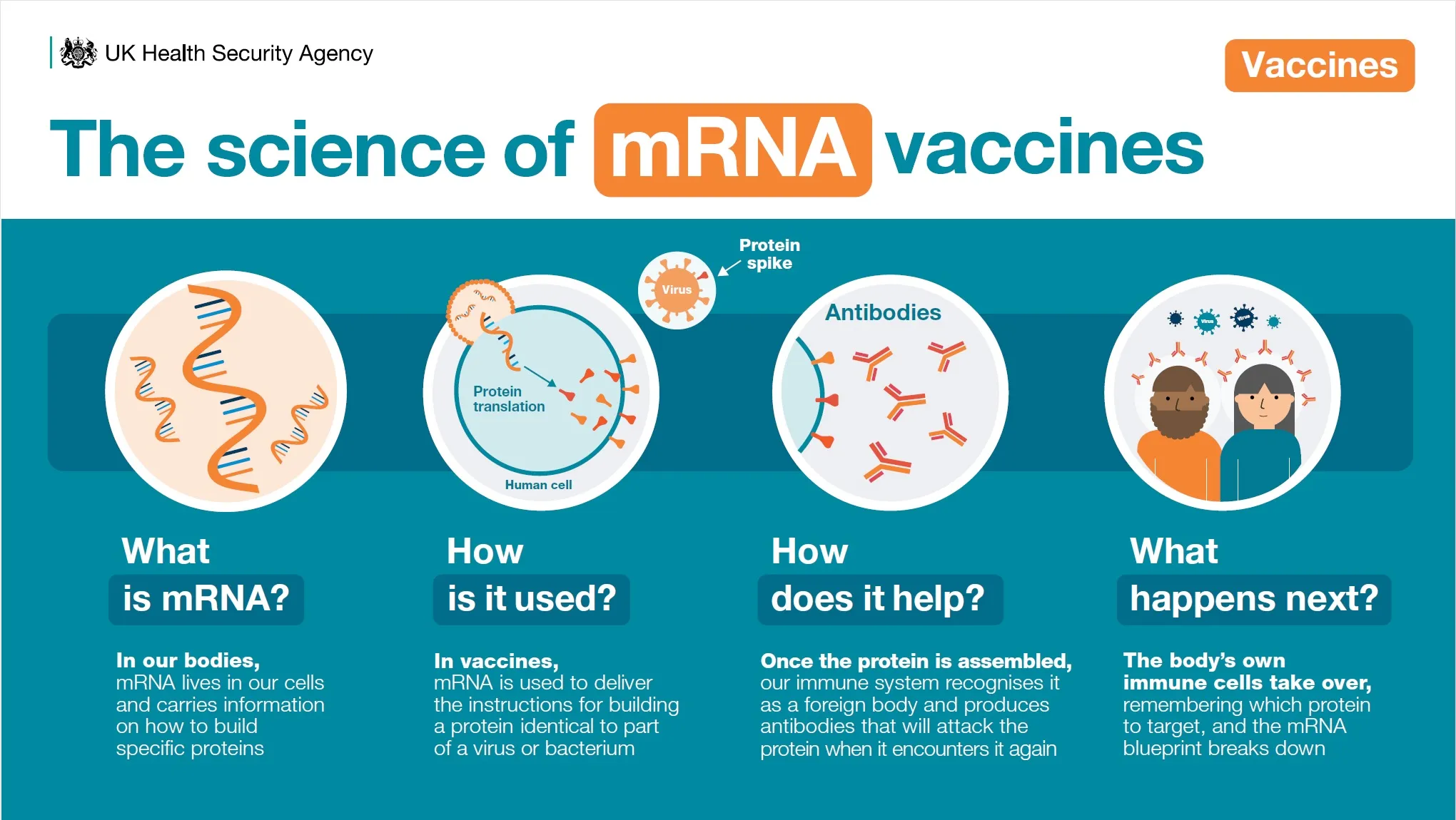 Top 5 Scientific Breakthroughs That Are Shaping Our Future » Best 5 Picks Advances in mRNA Technology Beyond Vaccines