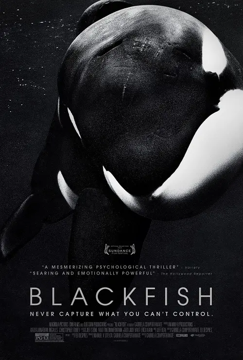 5 Most Captivating Documentaries That Will Expand Your Horizons » Best 5 Picks Blackfish - 5 Most Captivating Documentaries