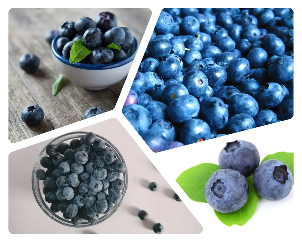 Top 5 Superfoods to Boost Metabolism » Best 5 Picks Blueberries - Top 5 Superfoods to Boost Metabolism