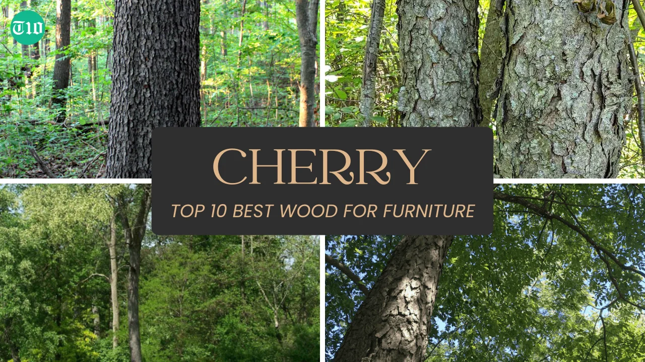 Top 10 Best Wood for Furniture » Best 5 Picks Cherry are Top 10 Best Wood for Furniture
