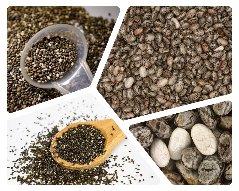 Top 5 Superfoods to Boost Metabolism » Best 5 Picks Chia seeds - Top 5 Superfoods to Boost Metabolism