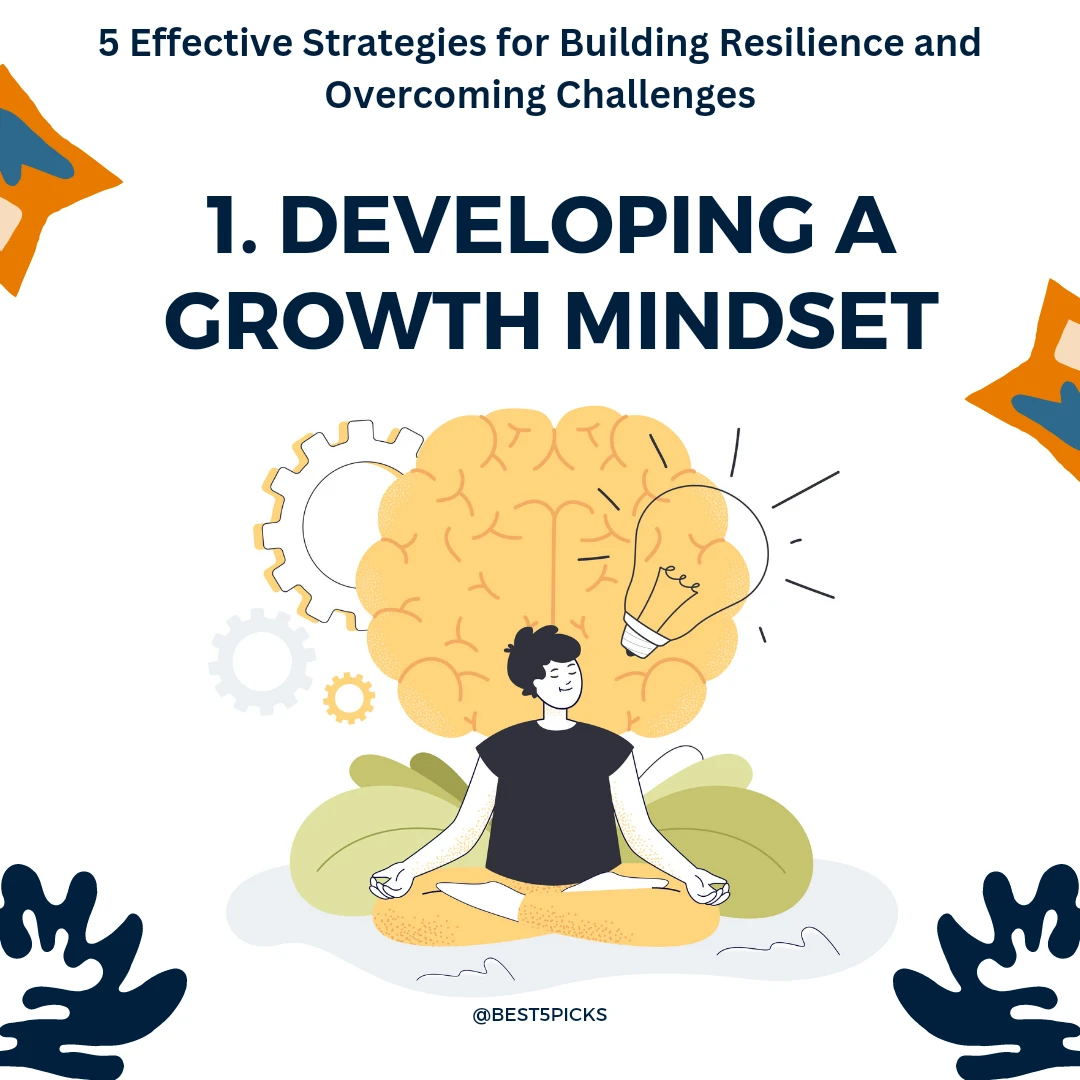 Top 5 Tips for Building Resilience and Overcoming Challenges » Best 5 Picks Developing a Growth Mindset - Top 5 Tips for Building Resilience and Overcoming Challenges