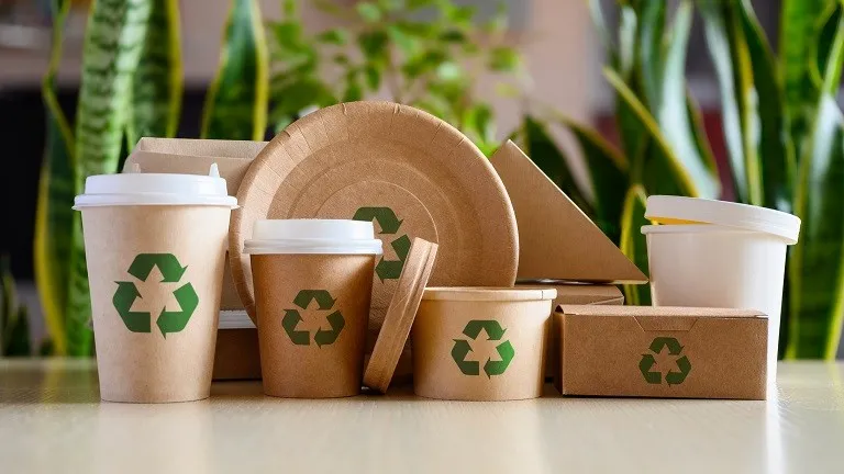 5 Profitable Eco-Friendly Niches with Low Competition in 2025 » Best 5 Picks Eco-Friendly Packaging Solutions