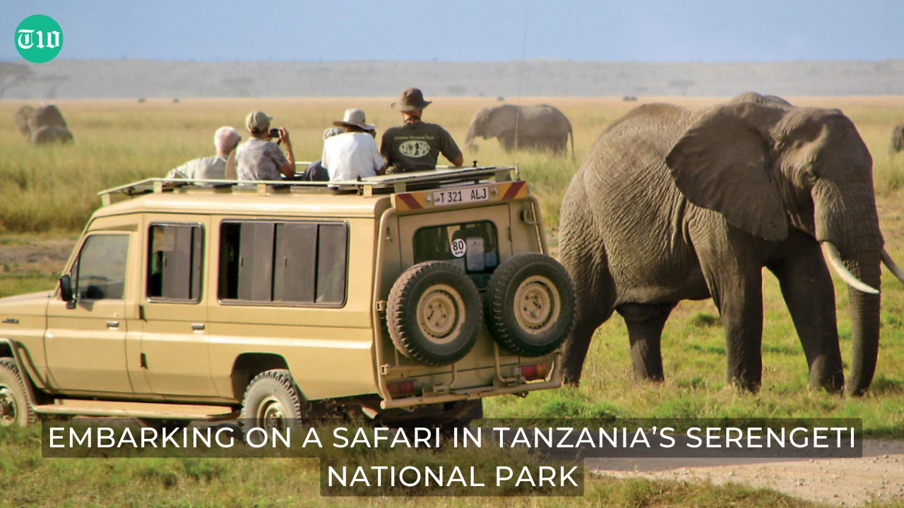 Top 10 Experiences in the World » Best 5 Picks Embarking on a Safari in Tanzania’s Serengeti National Park - Top 10 Experiences in the World