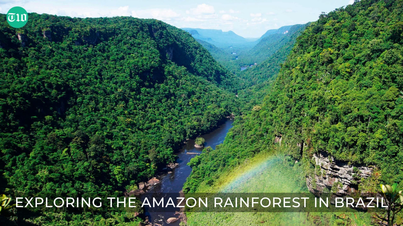 Top 10 Experiences in the World » Best 5 Picks Exploring the Amazon Rainforest in Brazil - Top 10 Experiences in the World