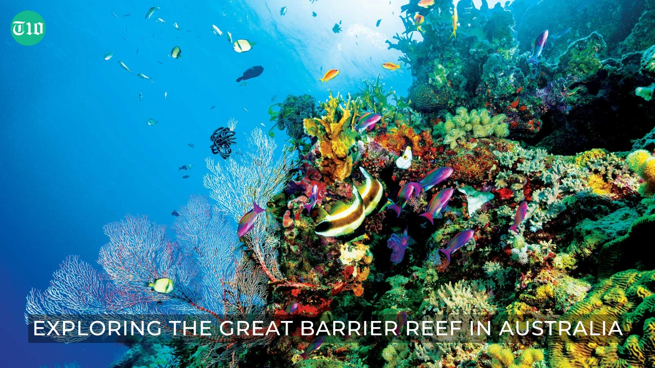 Top 10 Experiences in the World » Best 5 Picks Exploring the Great Barrier Reef in Australia - Top 10 Experiences in the World