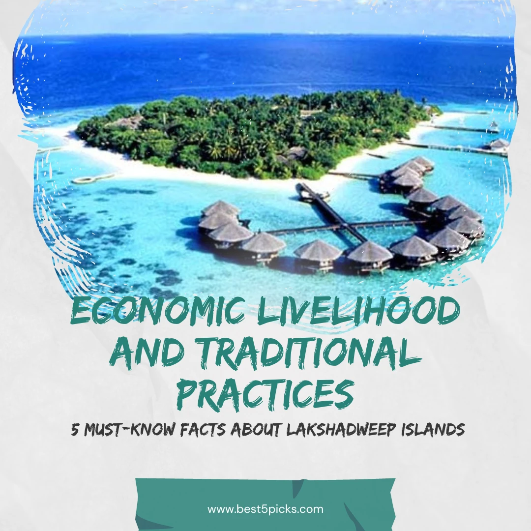 Insider's Guide: 5 Must-Know Facts About Lakshadweep Islands » Best 5 Picks Lakshadweep Economic Livelihood and Traditional Practices - 5 Must-Know Facts About Lakshadweep Islands