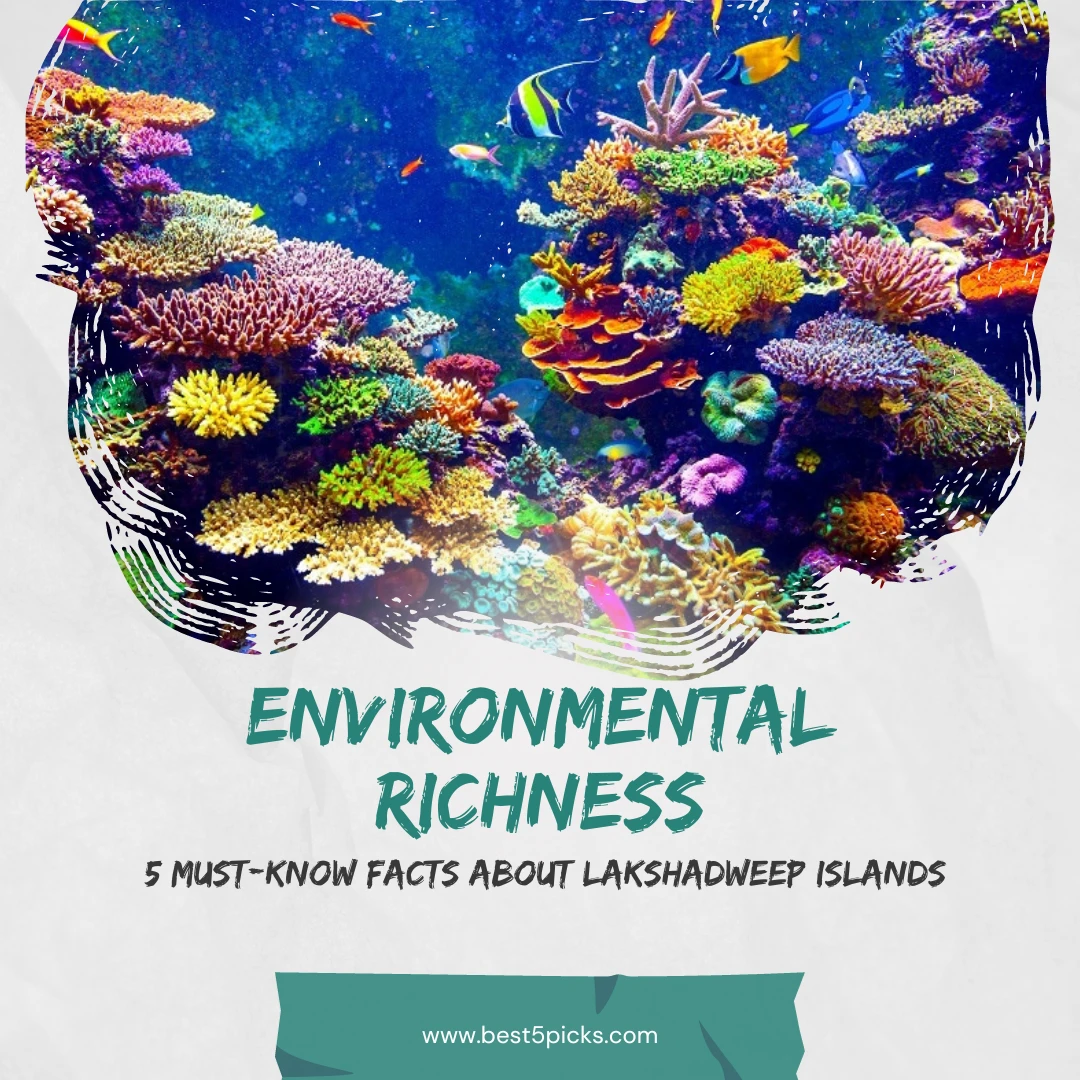 Insider's Guide: 5 Must-Know Facts About Lakshadweep Islands » Best 5 Picks Lakshadweep Environmental Richness - 5 Must-Know Facts About Lakshadweep Islands