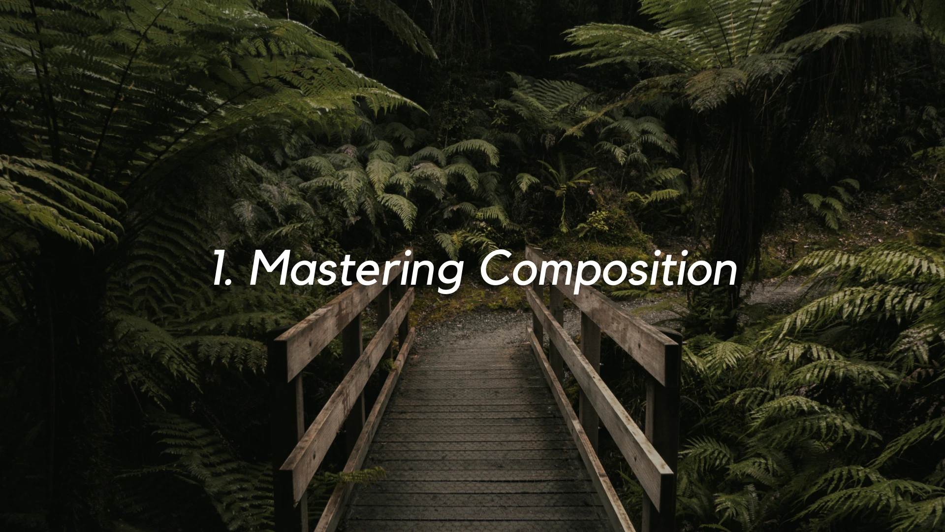 5 Expert Tips for Enhancing Your Basic Photography Skills » Best 5 Picks Mastering Composition - 5 Expert Tips for Enhancing Your Basic Photography Skills