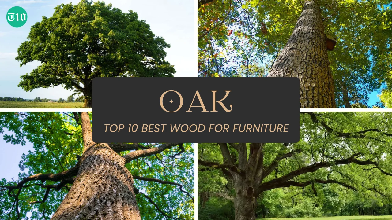 Top 10 Best Wood for Furniture » Best 5 Picks Oak are Top 10 Best Wood for Furniture