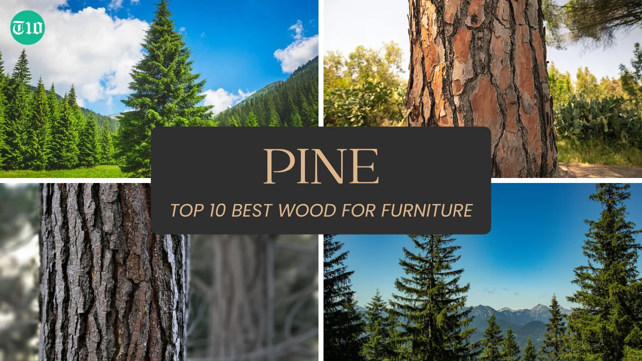 Top 10 Best Wood for Furniture » Best 5 Picks Pine are Top 10 Best Wood for Furniture