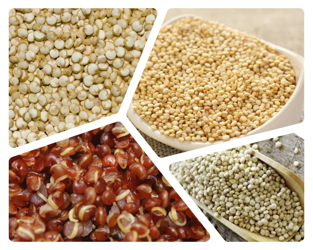 Top 5 Superfoods to Boost Metabolism » Best 5 Picks Quinoa - Top 5 Superfoods to Boost Metabolism