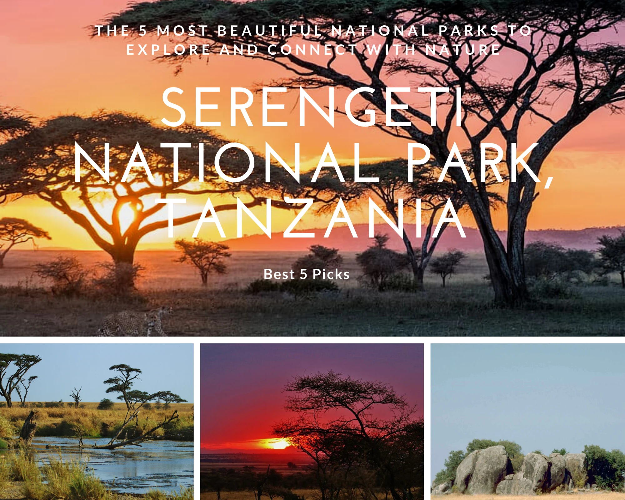 Top 5 Most Beautiful National Parks in The World » Best 5 Picks Serengeti National Park, Tanzania - Top 5 Most Beautiful National Parks in The World