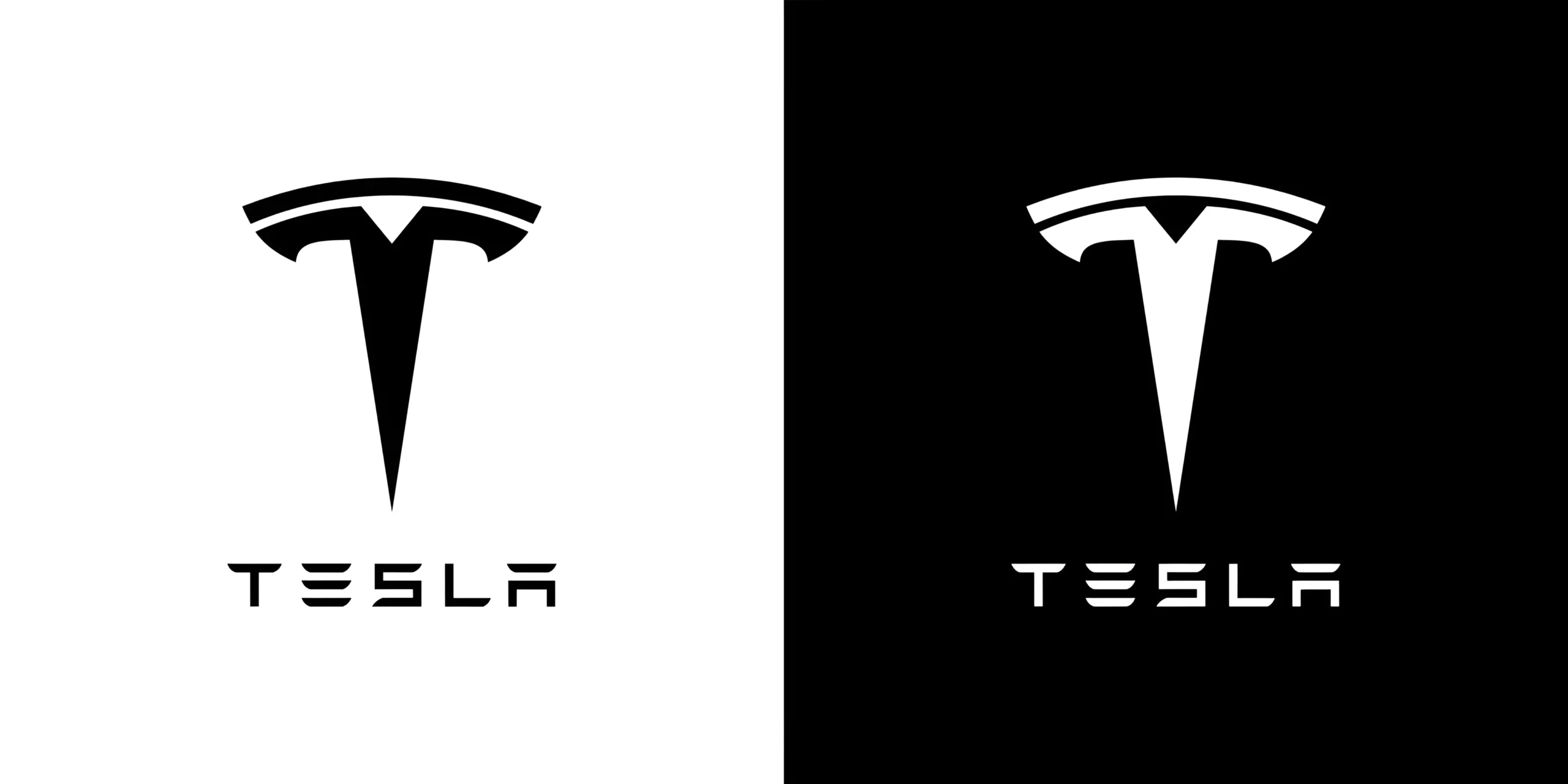 5 Most Innovative Startups Revolutionizing Their Industries » Best 5 Picks Tesla