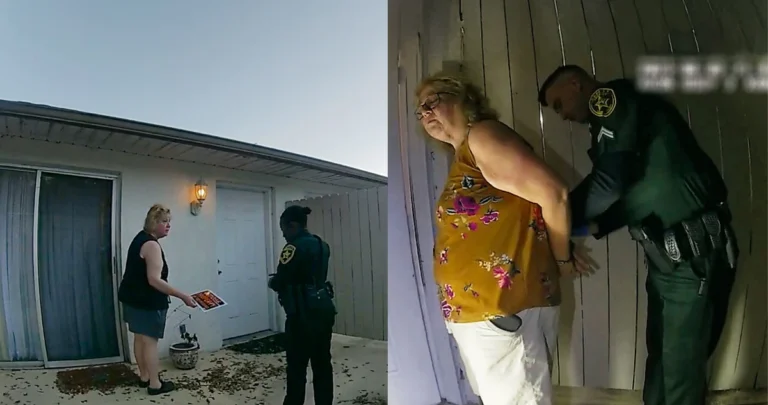 The Perfect Neighbor