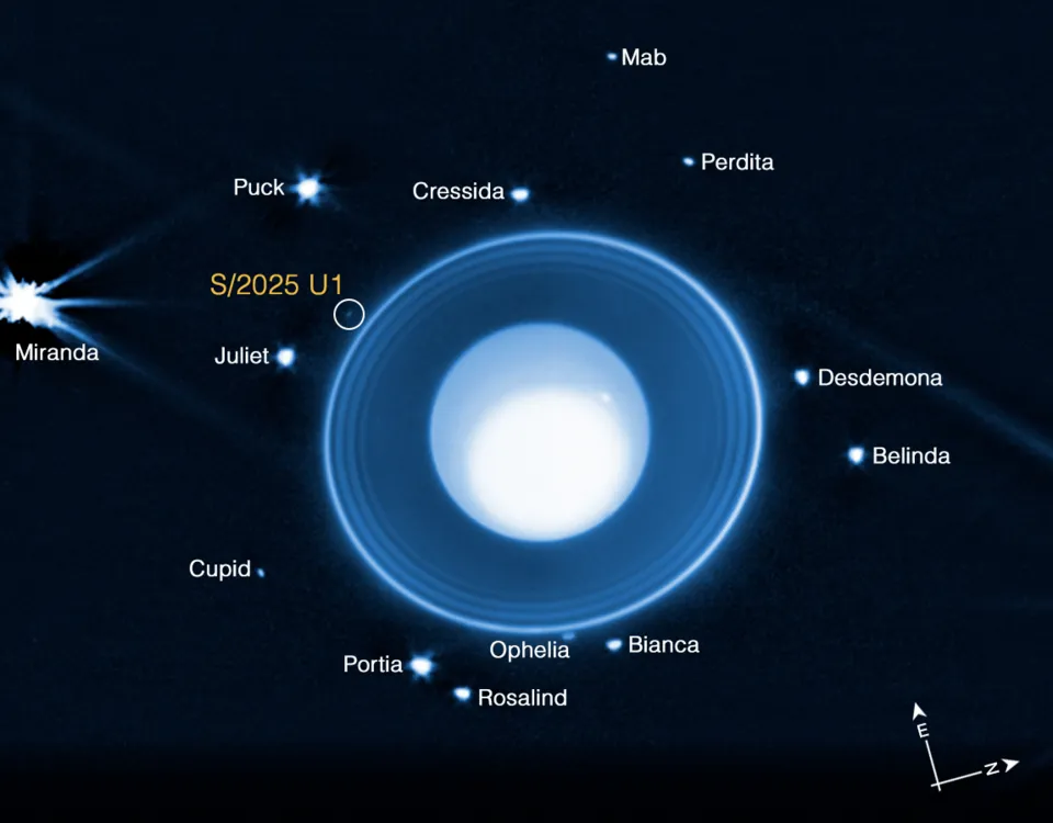 Discovery and Identification of S/2025 U 1